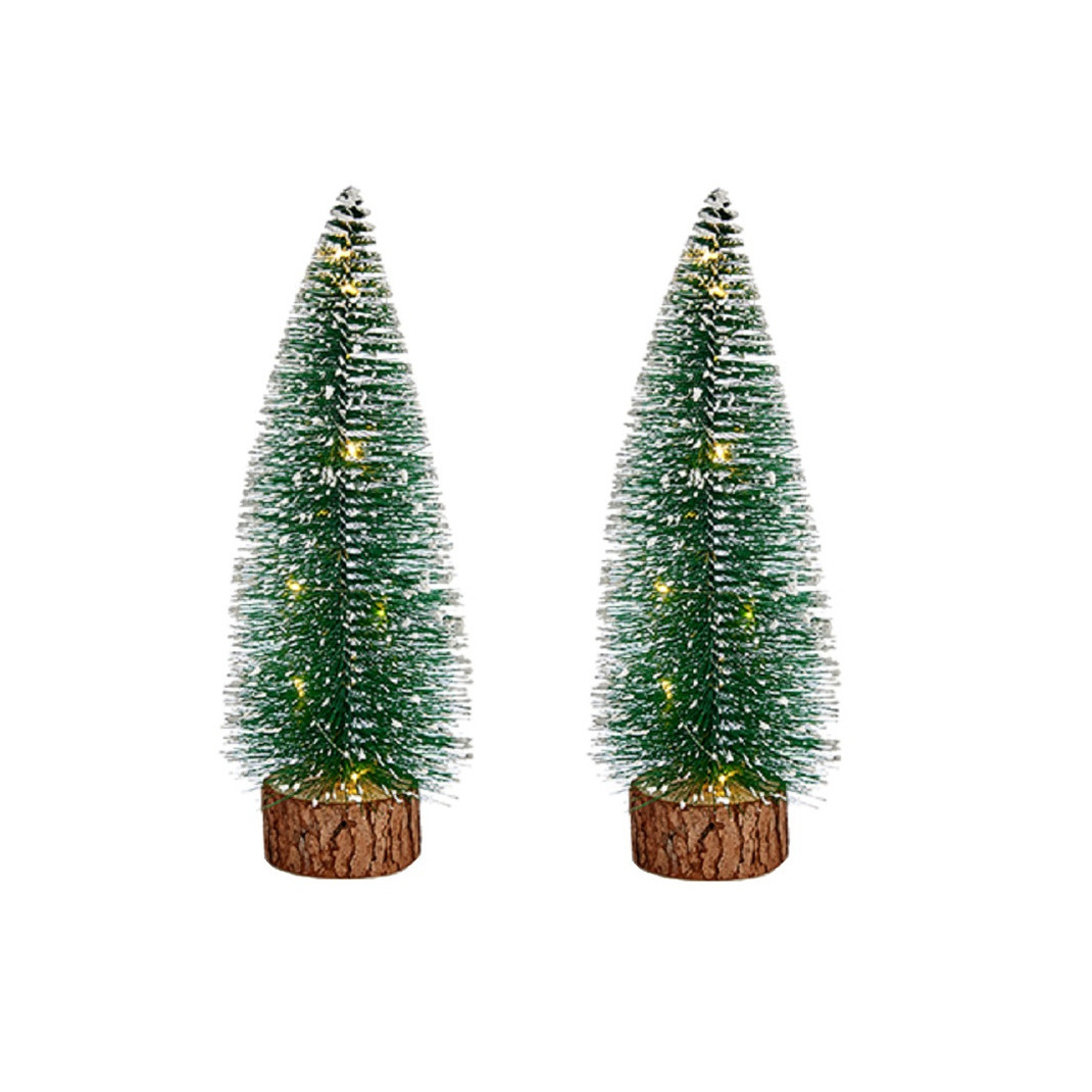 2x stuks kleine/mini decoratie kerstboompjes van 25 cm met witte LED lichtjes