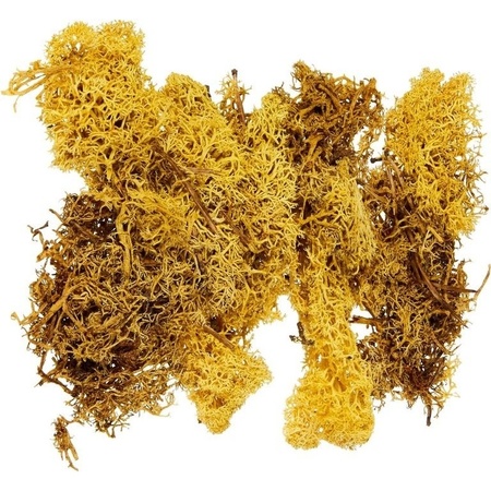 Decoration mos yellow 50 grams