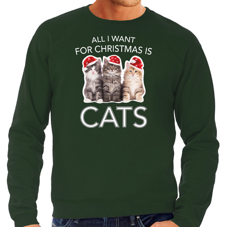 Groene Kersttrui / Kerstkleding All I want for christmas is cats voor heren