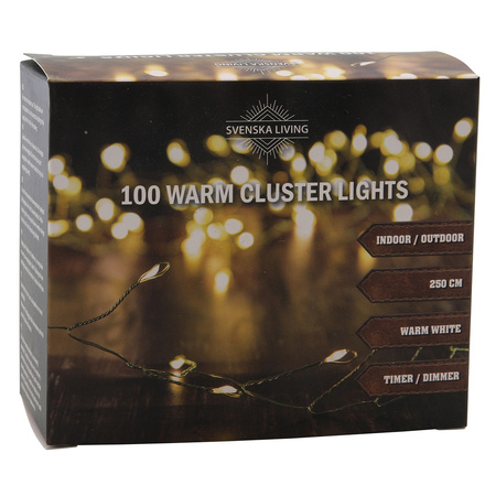 Set van 2x stuks kerstverlichting clusterlampjes op zwart draad 250 cm