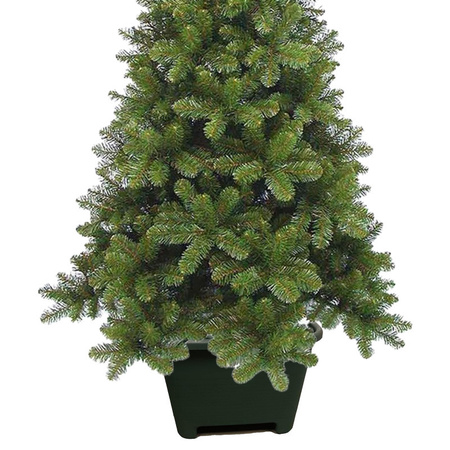 Christmas tree standard green